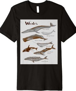 Whales Species Whale Sea Mammals Marine Mammal Orca Grey Premium T-Shirt