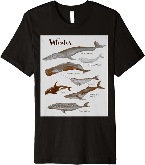 Whales Species Whale Sea Mammals Marine Mammal Orca Grey Premium T-Shirt